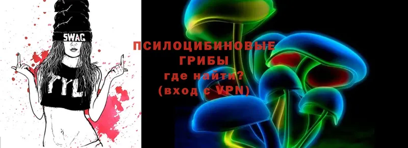 Псилоцибиновые грибы Psilocybine cubensis  хочу   Данков 